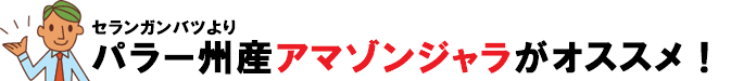 セランガンバツ(イエローバラウ、バンキライ、バラウ、バツー)よりもアマゾンジャラ~セランガンバツ(イエローバラウ、バンキライ、バラウ、バツー)はウッドデッキ材料に適している?を徹底比較調査セランガンバツの特徴・販売