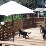 工作,出かけられない,子どもと楽しむ,家族で作る,家で楽しむ,工作,庭遊び,プチキャンプ,家遊び